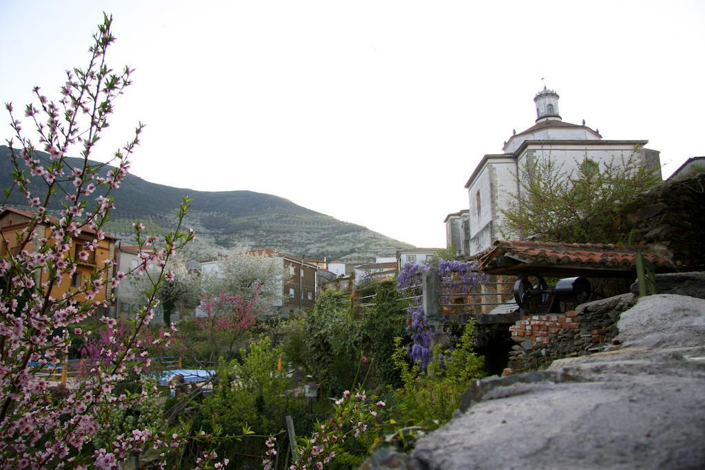 La Posada Del Casar Casar de Palomero Ngoại thất bức ảnh